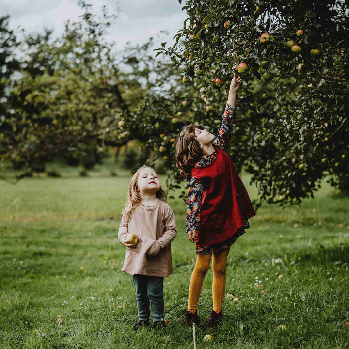 Kerstin Kinderschürze (Kirsche)